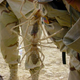 Illustration for article titled Whats more terrifying: gigantic camel spiders or a lady with a cow tail?
